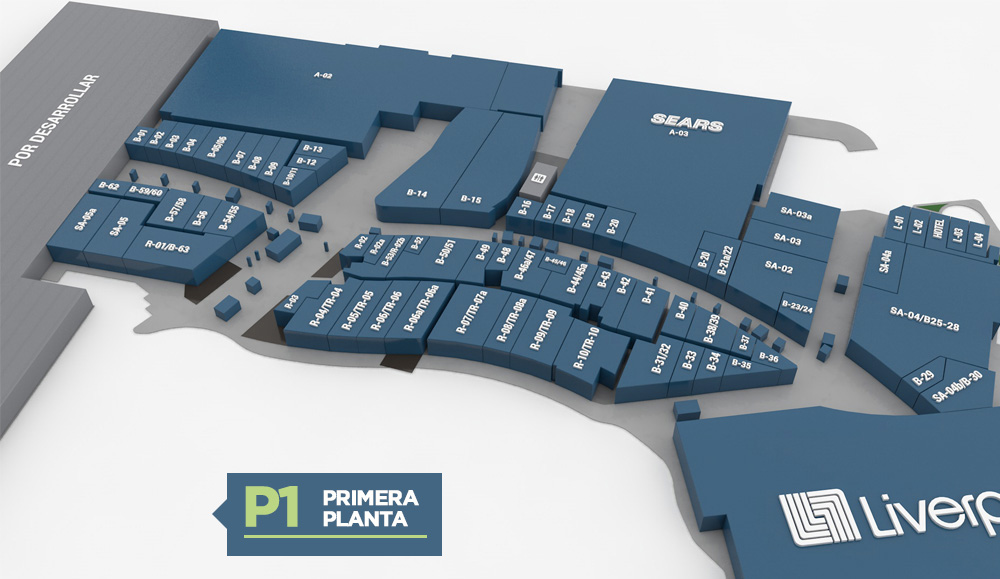 Primera Planta